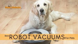 Read more about the article The 10 Best Robot Vacuums for Pet Hair | Ultimate Guide & Reviews