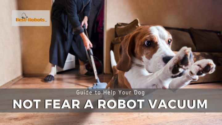 Read more about the article Steps to Help Your Dog Stop Fearing Robot Vacuums