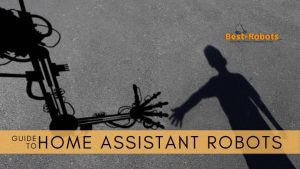 Read more about the article Different Types of Home Assistance Robots